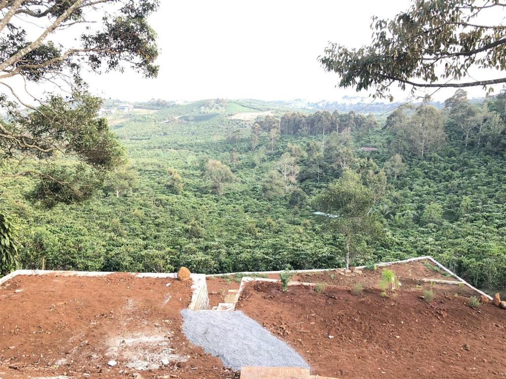 Bán trang trại khu nghỉ dưỡng 1676m2 tại lê đình chinh, phường 1 bảo lộc, 5,75 tỷ vnd