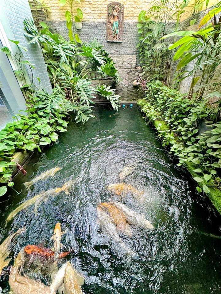 Bán biệt thự bt mễ trì hạ, nam từ liêm, 190m2 5 tầng, mặt tiền 11m, giá 69 tỷ