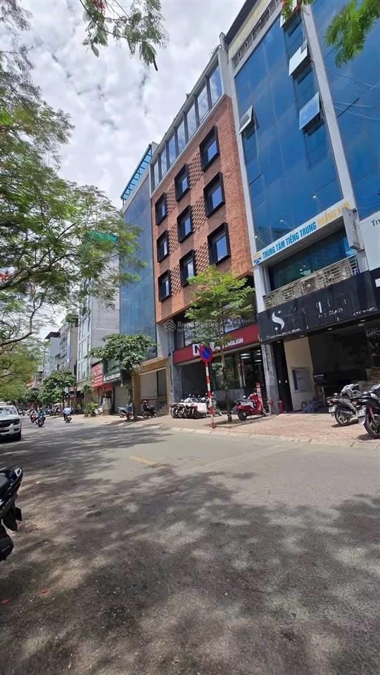 Bán nhà phố huỳnh thúc kháng 50m mặt tiền 4m vỉa hè ô tô tránh, 26 tỷ