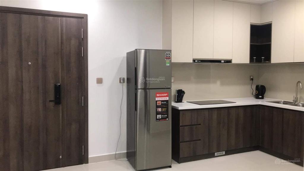 Cho thuê căn hộ q7 boulevard, 1 pn, 1 wc, full nội thất, nguyễn lương bằng, quận 7