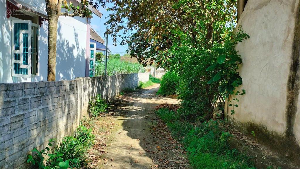 Chỉ với 320 triệu sở hữu dt 337m2 full thổ cư ở thạch thành, thanh hoá, vị trí chỉ cực gần kcn