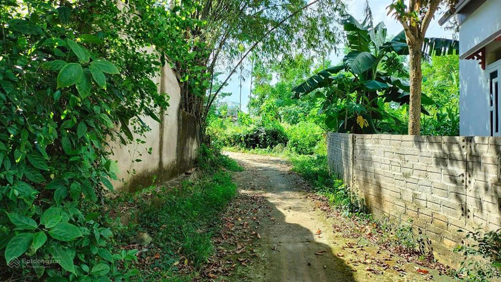 Chỉ với 320 triệu sở hữu dt 337m2 full thổ cư ở thạch thành, thanh hoá, vị trí chỉ cực gần kcn