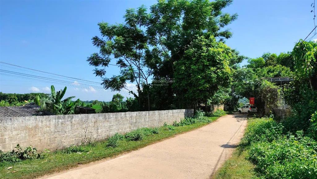 Chỉ với 320 triệu sở hữu dt 337m2 full thổ cư ở thạch thành, thanh hoá, vị trí chỉ cực gần kcn