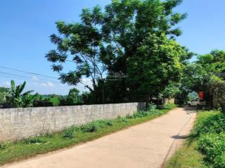 Chỉ với 320 triệu sở hữu dt 337m2 full thổ cư ở thạch thành, thanh hoá, vị trí chỉ cực gần kcn