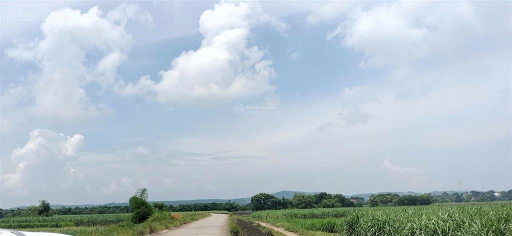 Chỉ 250tr đồng sở hữu lô đất ruộng 2421m2 tại xã kim tân, thạch thành, thanh hoá( 0979 532 ***)