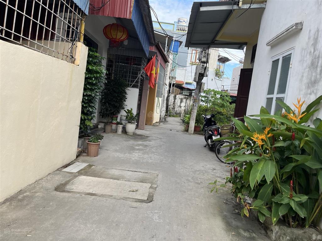 Cần bán nhanh lô 45m ngõ nguyễn hữu cầu thông ra chợ đình đoài đồ sơn. giá 650tr