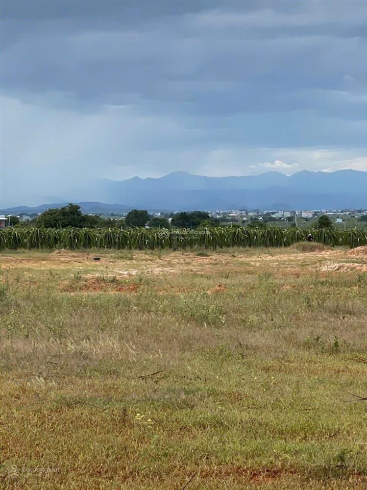 Đất chính chủ 5.942m2, chỉ hơn 1 tỷ