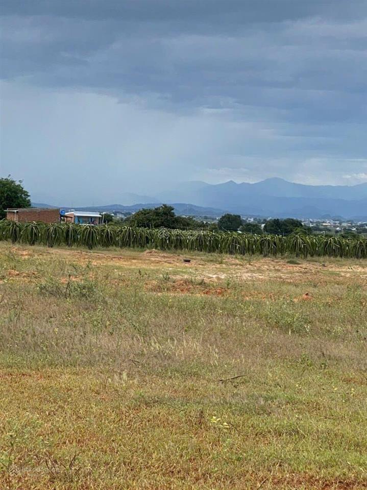 Đất chính chủ 5.942m2, chỉ hơn 1 tỷ