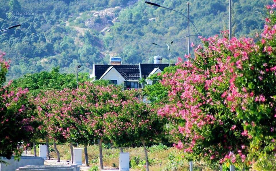 Nền golden bay d1723 (duy nhất dãy biệt thự hdmb) hướng biển đông nam giá 29,5tr/m2. 0946 753 ***