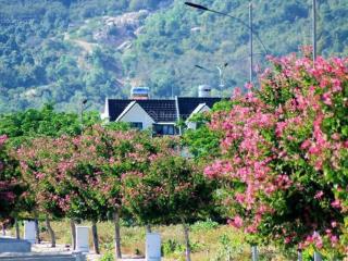 Nền golden bay d1723 (duy nhất dãy biệt thự hdmb) hướng biển đông nam giá 29,5tr/m2. 0946 753 ***