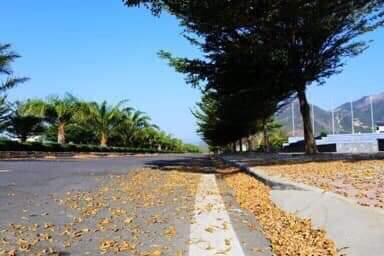 Nền golden bay d1723 (duy nhất dãy biệt thự hdmb) hướng biển đông nam giá 29,5tr/m2. 0946 753 ***