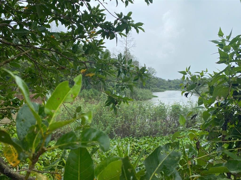 Bán đất tại thị trấn phước bửu, giá 6 tỷ, diện tích 1.500 m2, view đẹp