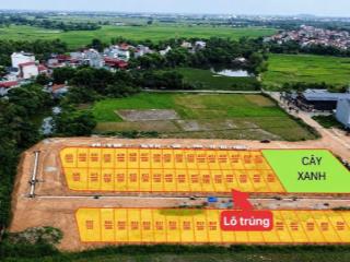 BÁN GẤP ĐẤT ĐẸP TẠI CHI CHỈ ĐỒNG CƯƠNG, YÊN LẠC DT100m MT5m full 100% thổ cư giá 2,338 TỶ 0988296228