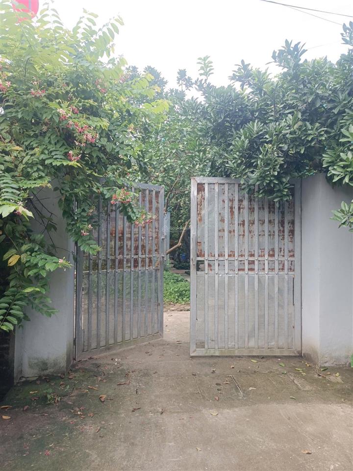 Chính chủ cho thuê kho xưởng 250 m² đình đông la, hoài đức mặt tiền đường 12 mét, giá 8 triệu/tháng