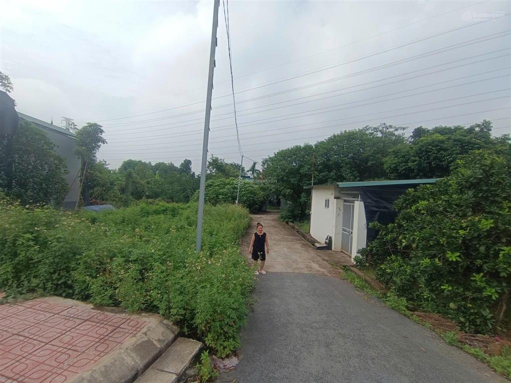 Chính chủ cho thuê kho xưởng 250 m² đình đông la, hoài đức mặt tiền đường 12 mét, giá 8 triệu/tháng