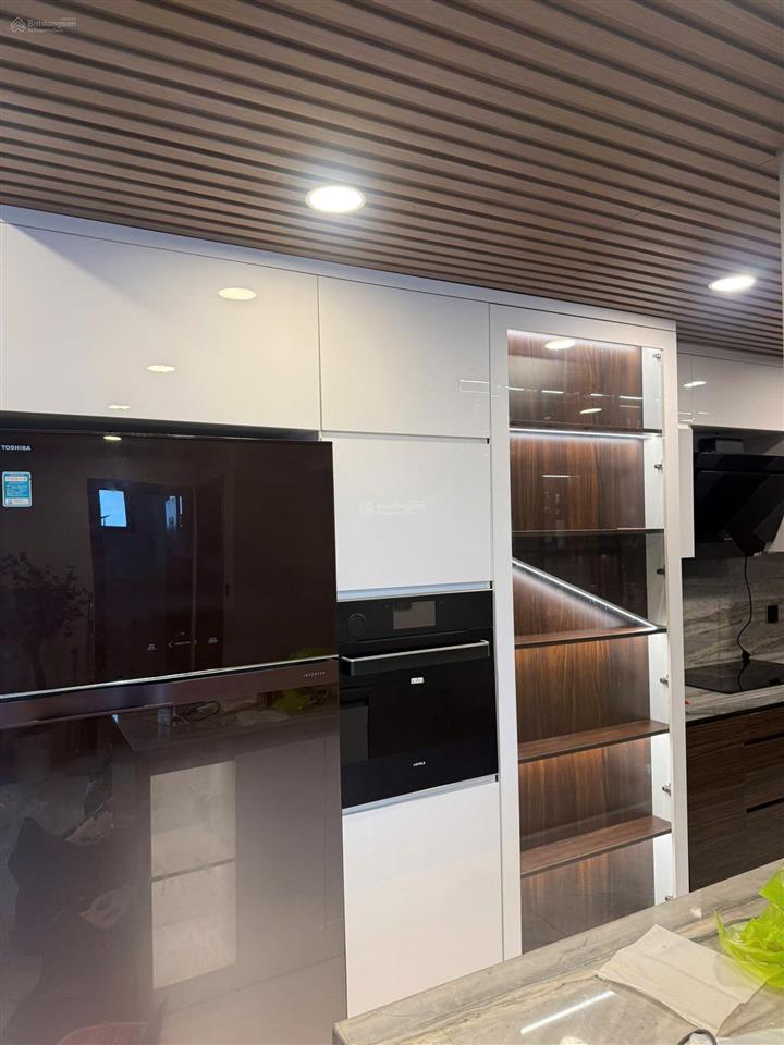 Chính chủ cho thuê duplex cao cấp emerald celadon city block e1