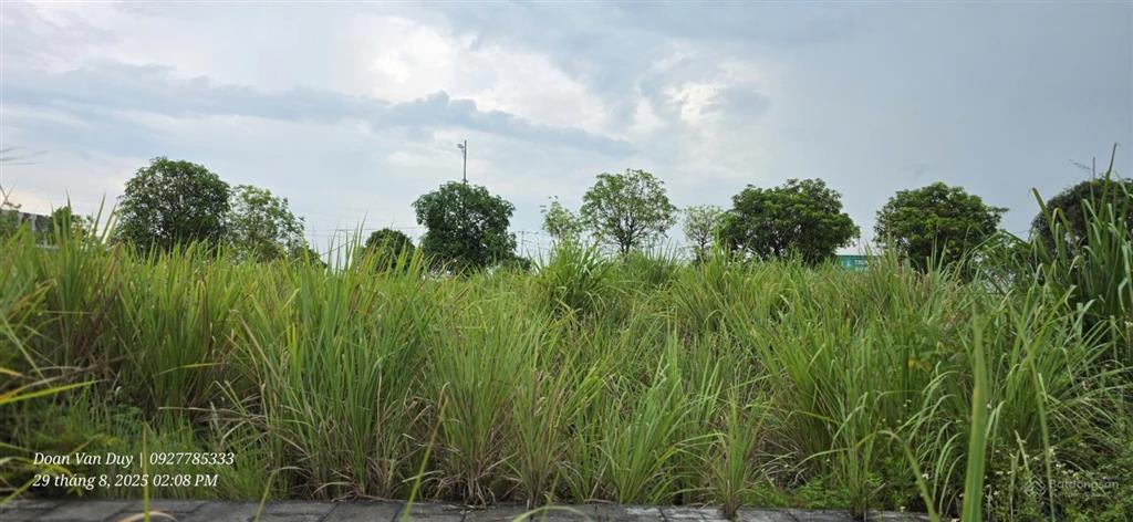 Công ty em cần cho thuê đất cn tại kcn dv5  ninh binh(hà nam cũ)