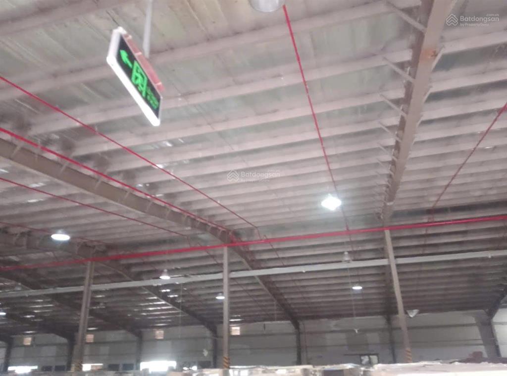 Cho thuê nhà xưởng kcn hòa mạcduy tiêntỉnh ninh bình