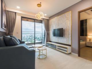 Cho thuê ch 1pn, 1wc, 40m2 tại the everrich infinity, quận 5, tp.hcm