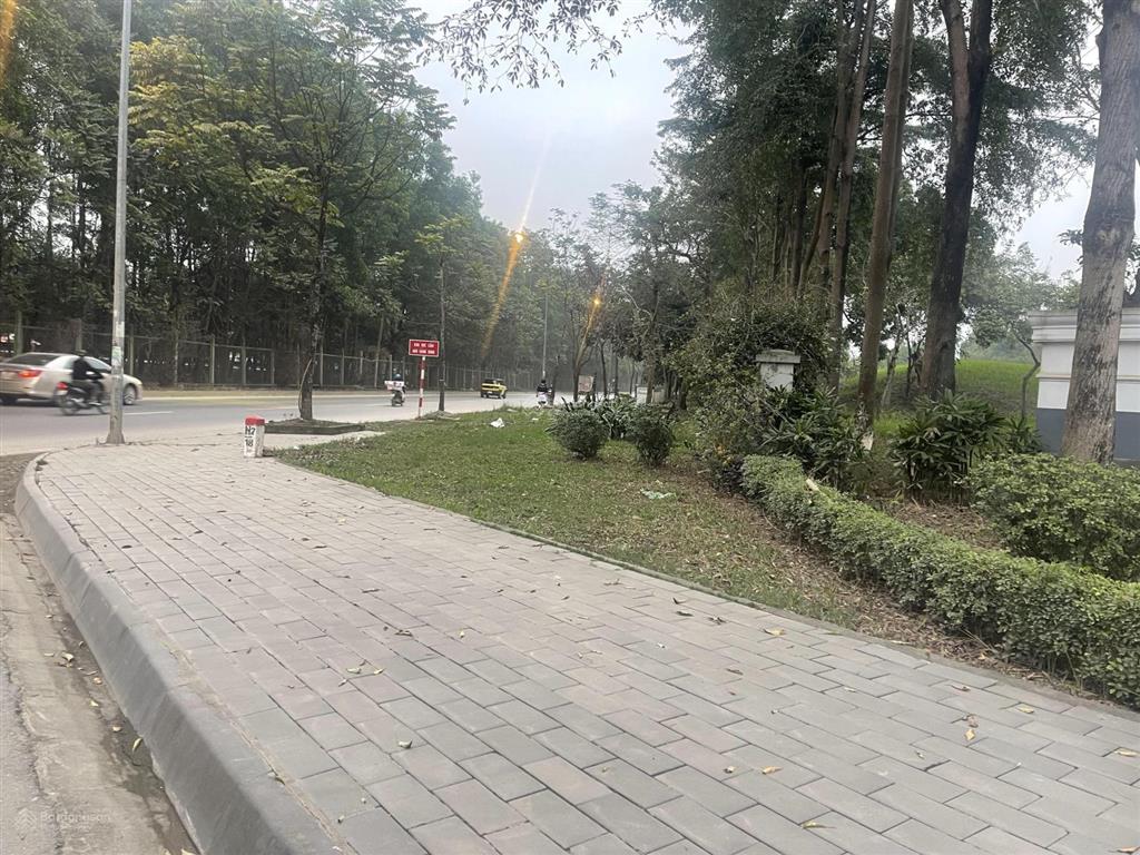 Hiêm! giá tốt nhất khu vực. quốc oai. 230m2 x 4 tầng. chỉ hơn 19 tỷ. vỉa hè rộng, kinh doanh đỉnh