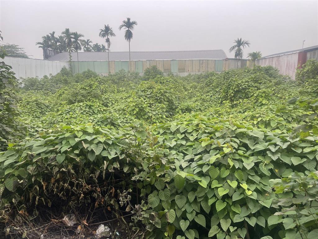 Bán đất kho xưởng tại mặt đại lộ thăng long, hoài đức hà nội. 1700m2 mt 17m giá chỉ hơn 14 tỷ.