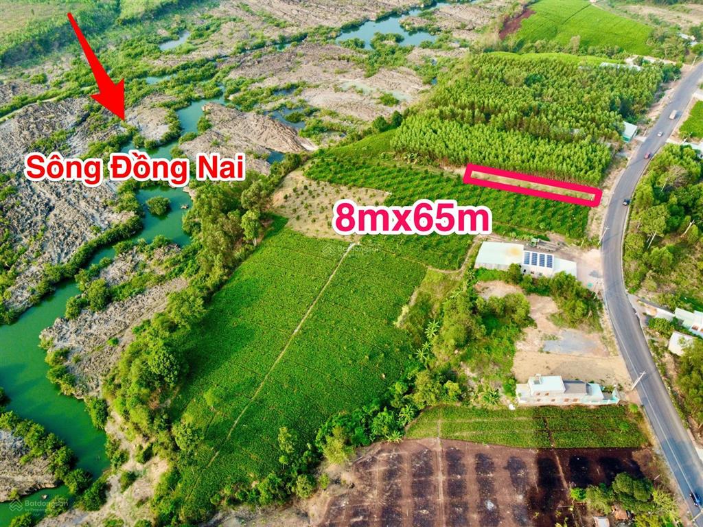 520m2 (8mx65m) mặt tiền đường 768, tt. vĩnh an phường trị an