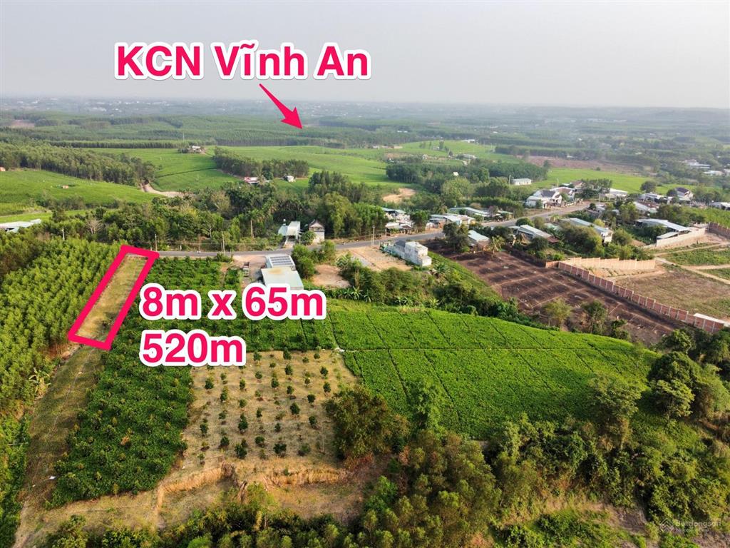 520m2 (8mx65m) mặt tiền đường 768, tt. vĩnh an phường trị an
