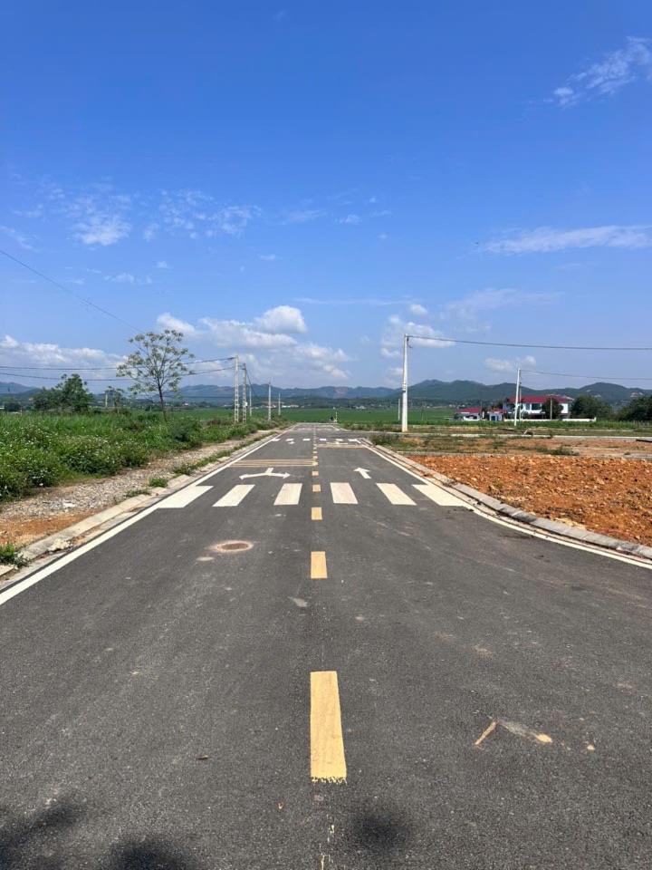 Bán đất đấu giá Thanh Sơn, Phú Thọ, 132m2, giá hơn 1 TỶ