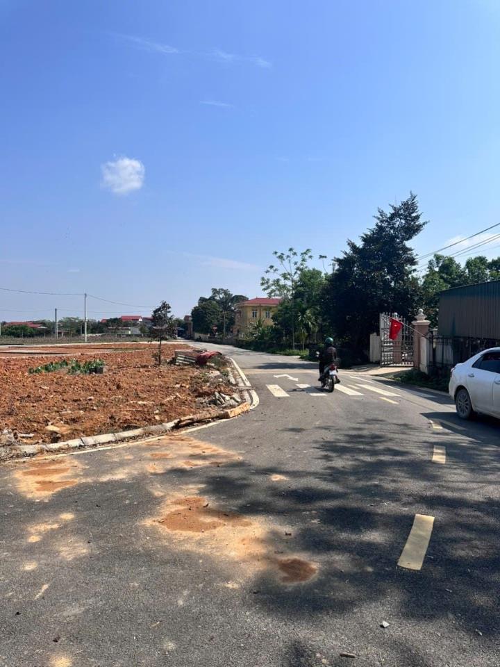 Bán đất đấu giá Thanh Sơn, Phú Thọ, 132m2, giá hơn 1 TỶ