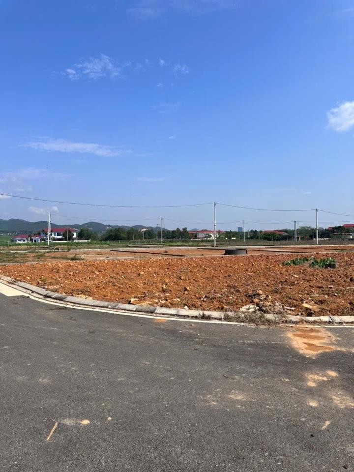 Bán đất đấu giá Thanh Sơn, Phú Thọ, 132m2, giá hơn 1 TỶ