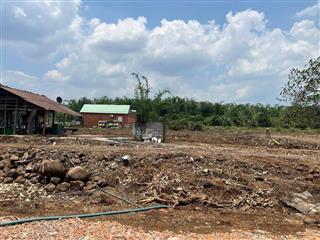 Bán Đất Làm Kho, Xưỡng, Nhà Vườn 9664m2 Sân Bay Long Thành Xã Xuân Đường,Cẩm Mỹ, Đồng Nai