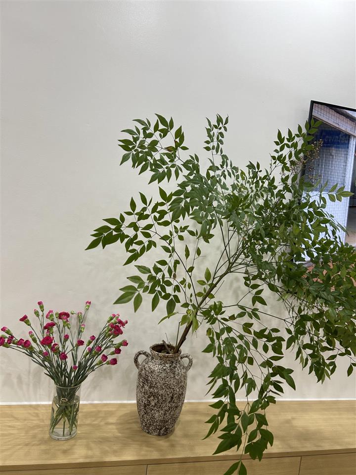 Lacasta văn phú 1n giá tốt đầu tư
