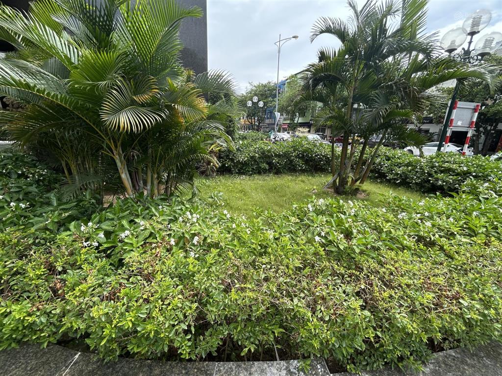 Lacasta văn phú78m nhà siêu đẹp giá thiện chí