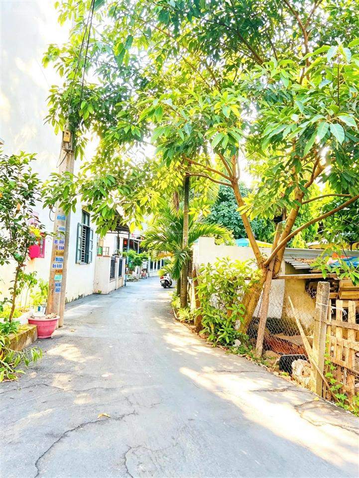 Bán đất hội an, cách phố cổ 350m, dt 291m2, đơn giá chỉ 40tr/m2