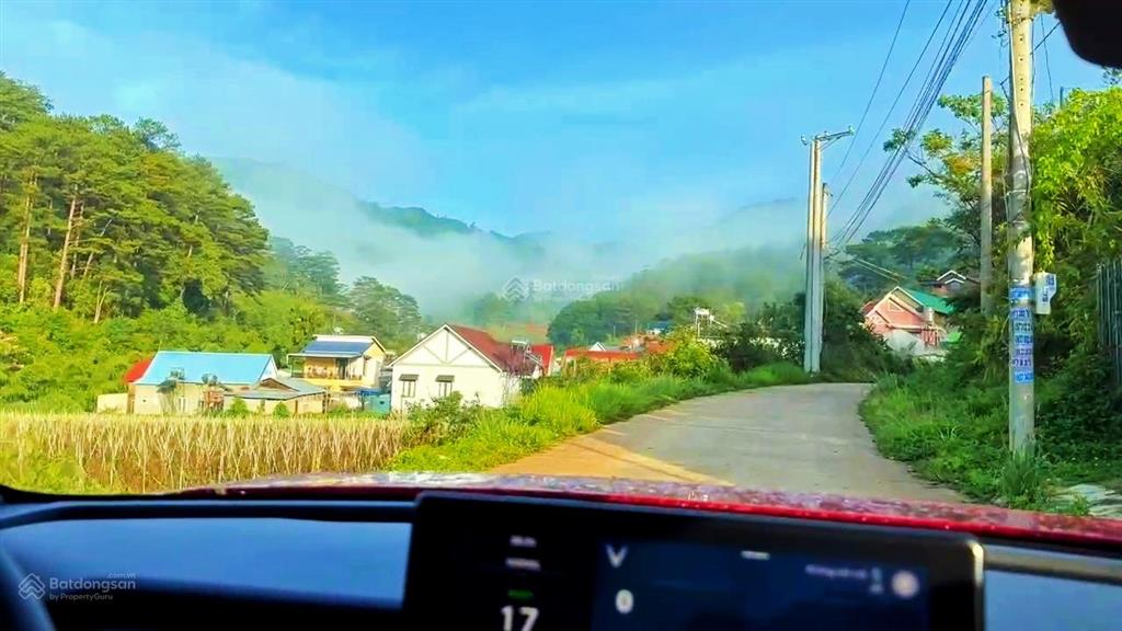 View bốn bề đồi thông  phù hợp ont hiệp an, đức trọng ]  ô tô bê tông vào tận nơi giá  7,050 tỷ