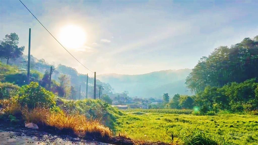 View bốn bề đồi thông  phù hợp ont hiệp an, đức trọng ]  ô tô bê tông vào tận nơi giá  7,050 tỷ