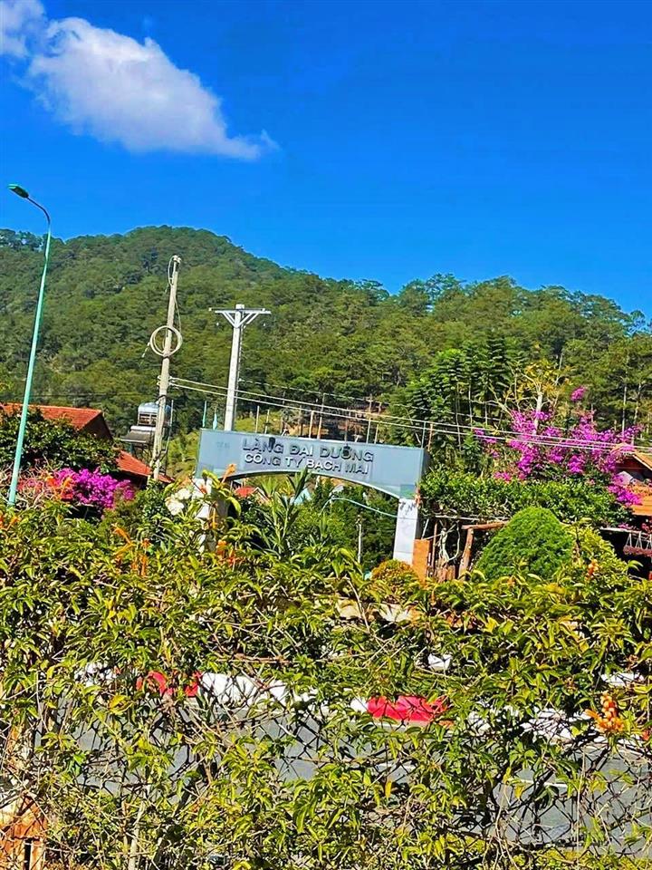 View bốn bề đồi thông  phù hợp ont hiệp an, đức trọng ]  ô tô bê tông vào tận nơi giá  7,050 tỷ