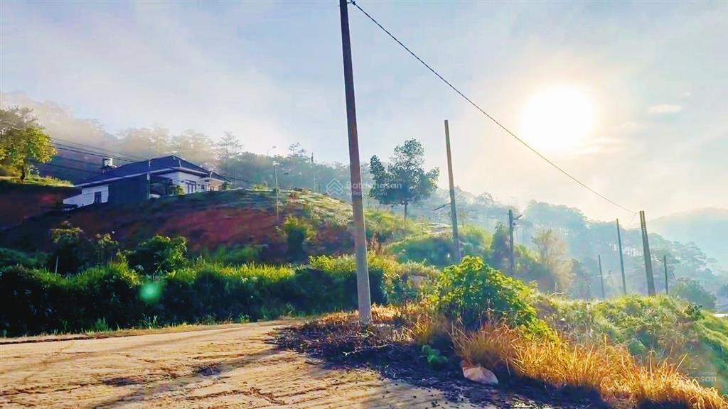 View bốn bề đồi thông  phù hợp ont hiệp an, đức trọng ]  ô tô bê tông vào tận nơi giá  7,050 tỷ