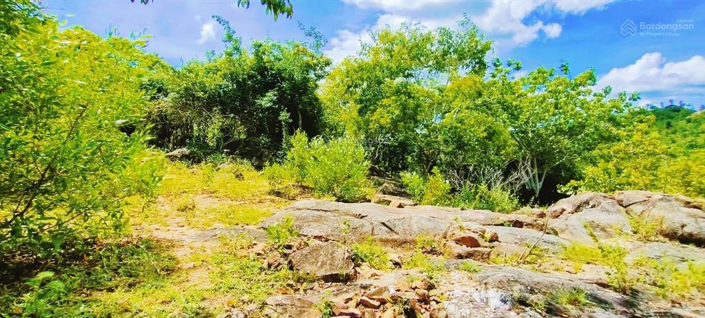 Đất vườn 2000m2 ba ngòi  tp. cam ranh (sơn long). giá 1 tỷ 368 triệu