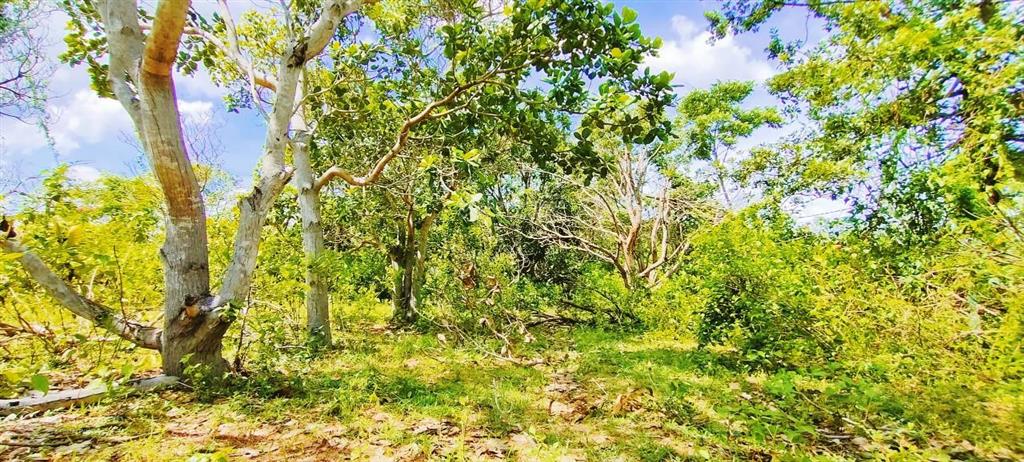 Đất vườn 2000m2 ba ngòi  tp. cam ranh (sơn long). giá 1 tỷ 368 triệu