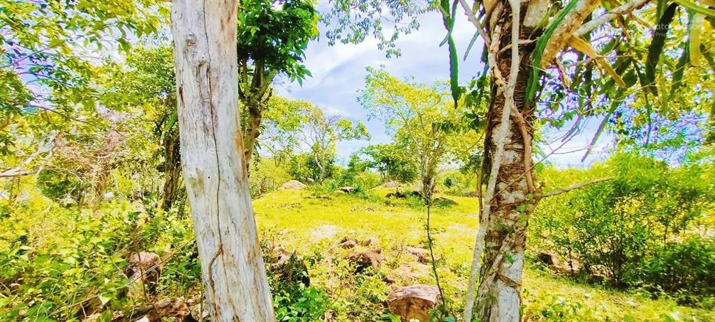 Đất vườn 2000m2 ba ngòi  tp. cam ranh (sơn long). giá 1 tỷ 368 triệu