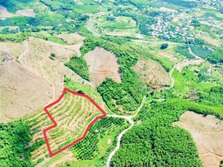 Mặt tiền bê tông ô tô khánh phú, bám bê tông dài gần 250m tặng 100 giống sầu riêng, giá 2 tỷ