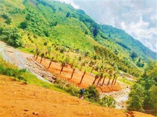 1500m2 đất ba cụm bắc, suối bao quanh đất siêu chill. giá 668 triệu