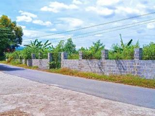 Mặt tiền đường thành hồ  bám đường dài o tô  50m trung tâm khu dân cư diên phước } giá 4,99 tỷ