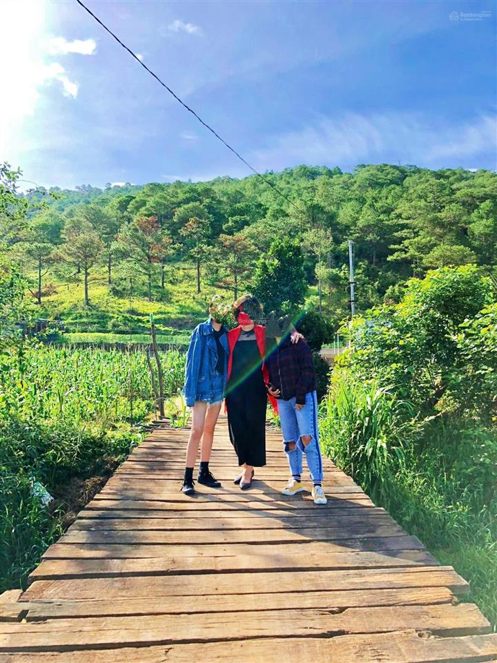 View bốn bề đồi thông, sẵn đất ở xây nhà ổn áp, hiệp an, đức trọng. giá 9,5 tỷ