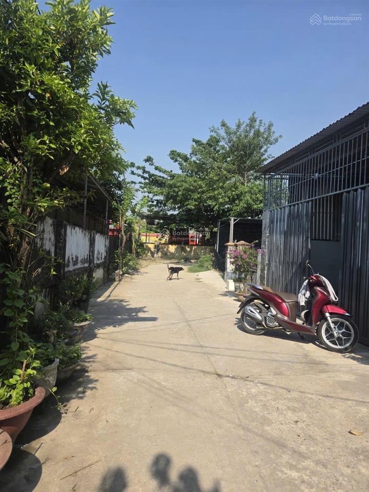 Nhà cấp 4, hẻm nguyễn chích, ô tô thông thoáng rộng 5  6m, cách đường nhựa chính 60m. giá 3,950tỷ
