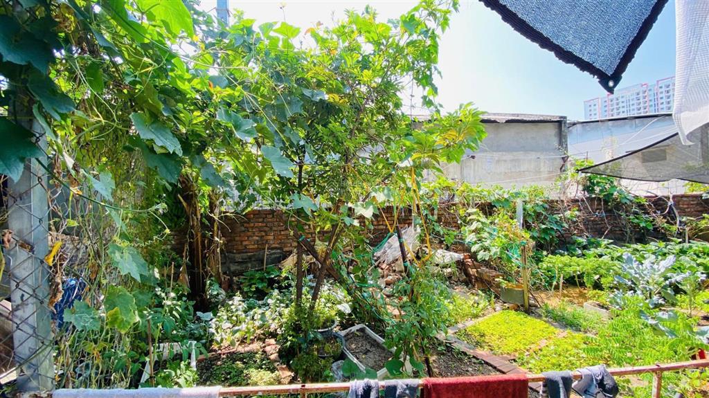Góc 2 mặt tiền, hẻm ô tô phú đức, ngang dài gần 11m, * ô tô rộng 4m * giá 5,2 tỷ