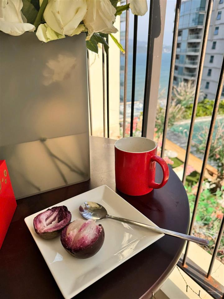 [sổ hồng riêng lâu dài cho căn hộ tòa cao cấp gold coast nha trang,view biển + hồ bơi.giá 5,3 tỷ