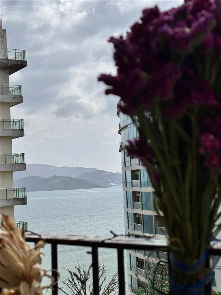 [sổ hồng riêng lâu dài cho căn hộ tòa cao cấp gold coast nha trang,view biển + hồ bơi.giá 5,3 tỷ