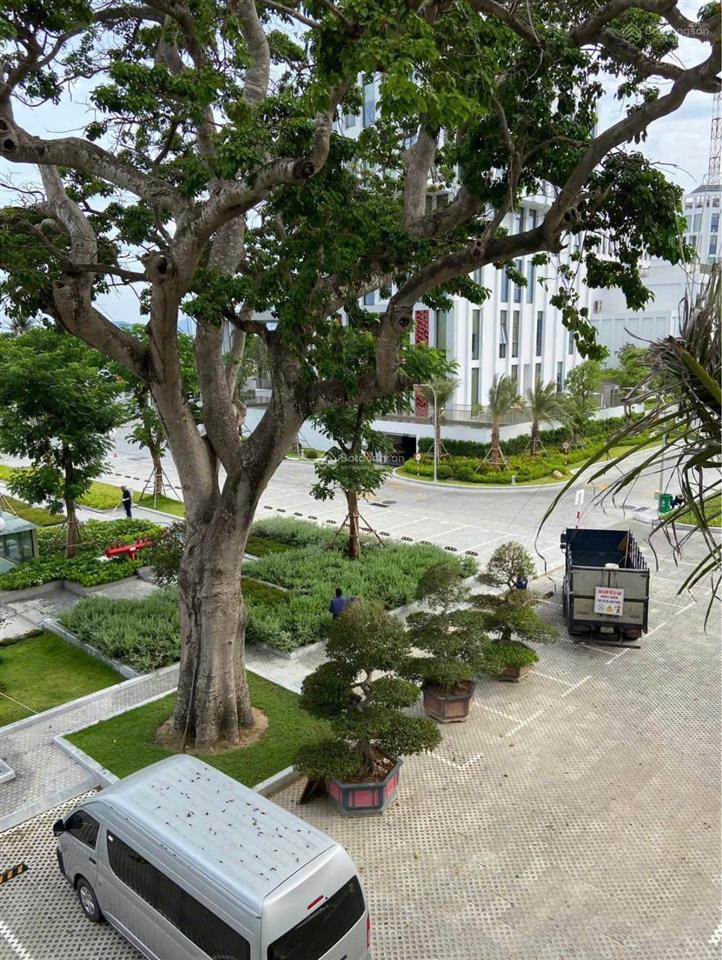 Nhà 4 tầng đường nguyễn bỉnh khiêm  phía sau giáp tỉnh ủy khánh hoà. giá 14,9 tỷ